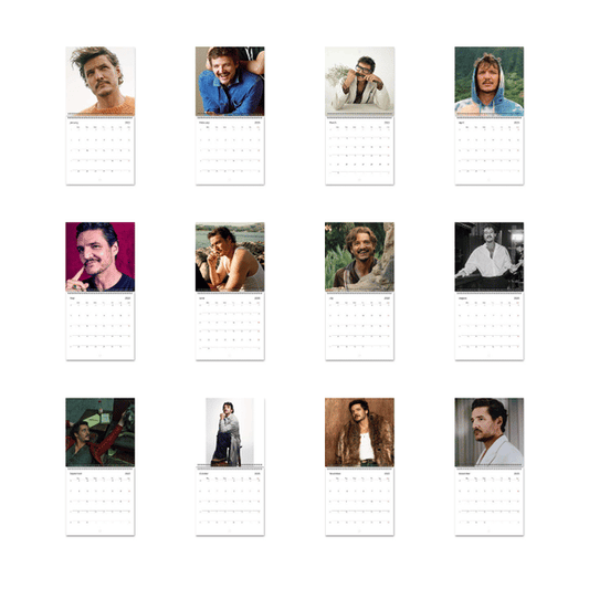 A Year of Pedro Pascal 2026 Wall Calendar