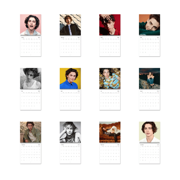 A Year of Timothée Chalamet 2026 Wall Calendar