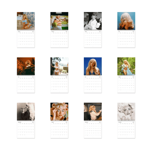 A Year of Sabrina Carpenter 2026 Wall Calendar