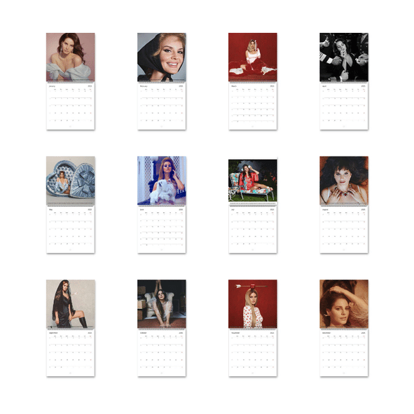 Dave - Psychodrama | Album Cover Poster