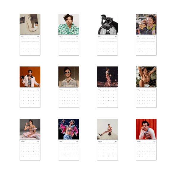 A Year of Harry Styles 2026 Wall Calendar