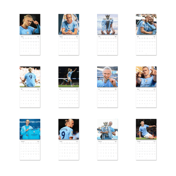 Dave - Psychodrama | Album Cover Poster