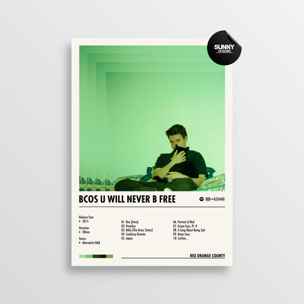 Rex Orange County Bcos U Will Never B Free merch custom album cover poster music poster personalized gifts poster mockup poster template Sunny Designs Poster 