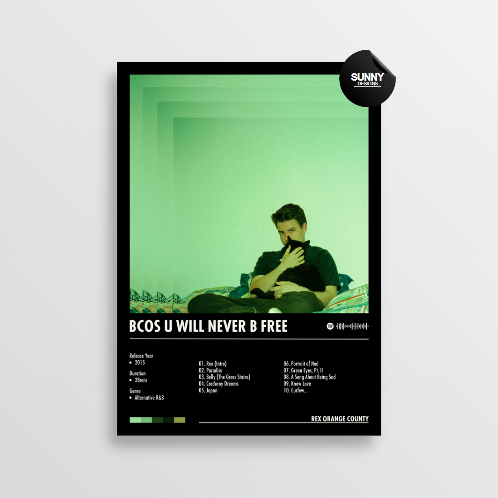 Rex Orange County - Bcos U Will Never B Free | Album Cover Poster ...